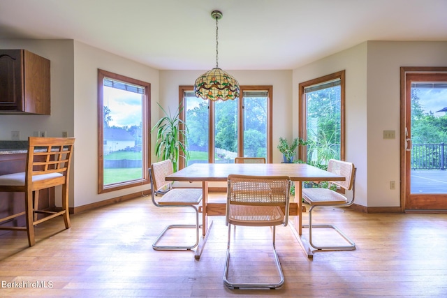 26 Filomena Dr, Pittsfield, MA 01201 - dining room with light wood-type flooring and healthy amount of natural light