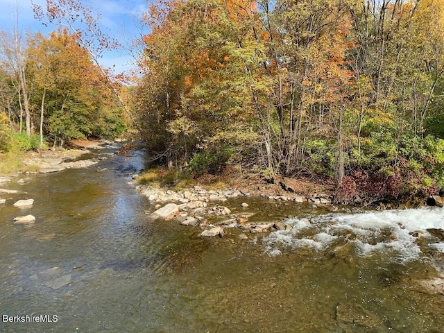 160 Water St Unit 407, Williamstown, MA 01267 - view of local wilderness