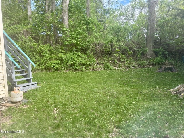21 Goodrich St, Pittsfield, MA 01201 - view of green lawn with stairs