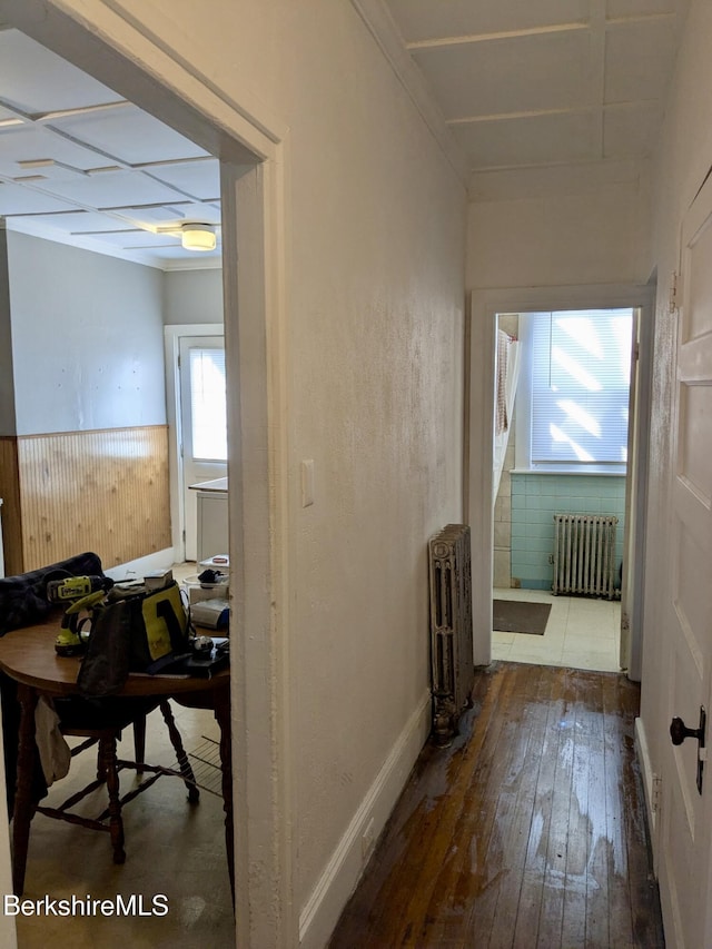 hallway featuring dark hardwood / wood-style flooring, radiator, and wood walls