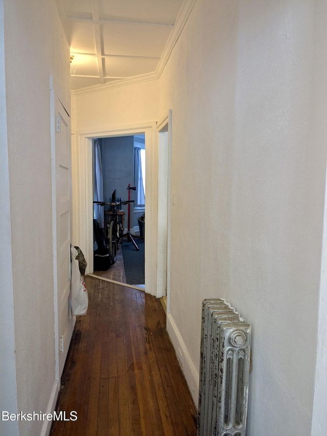 hallway featuring radiator heating unit and dark hardwood / wood-style flooring