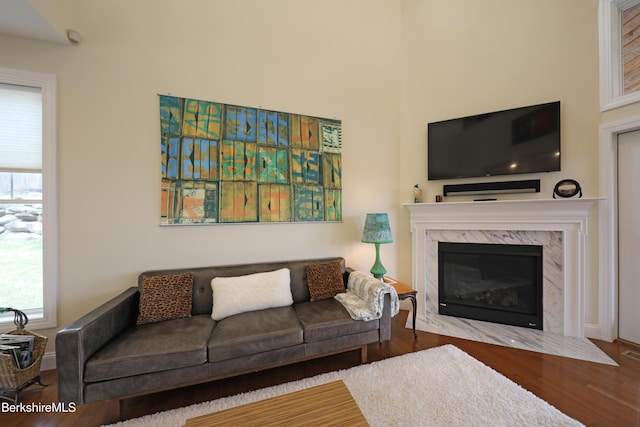 living area featuring a fireplace, wood finished floors, and baseboards