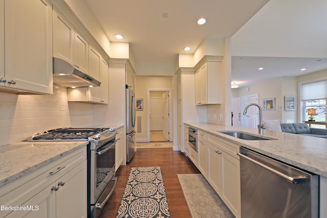 kitchen featuring dark wood-style floors, stainless steel appliances, under cabinet range hood, a sink, and decorative backsplash