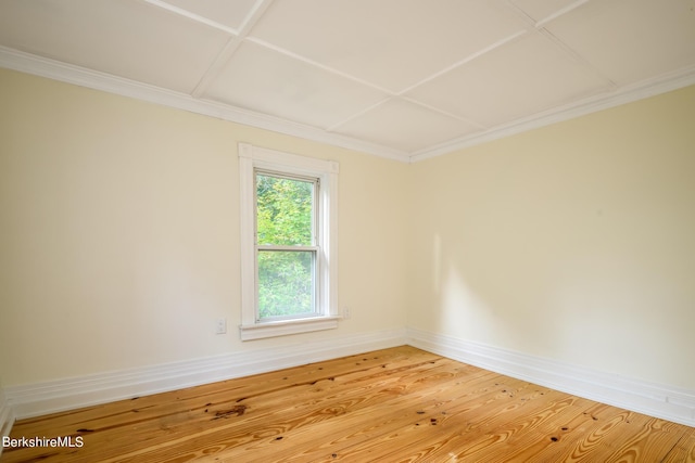 181 Bridges Rd, Williamstown, MA 01267 - photo 18