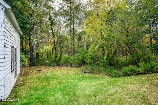 181 Bridges Rd, Williamstown, MA 01267 - photo 23