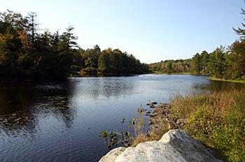 LOT10A/11A N Main Rd, Otis, MA 01253 - photo 1