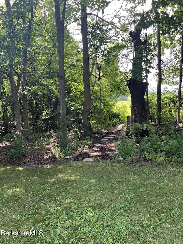 135 Longview Ter, Williamstown, MA 01267 - photo 32