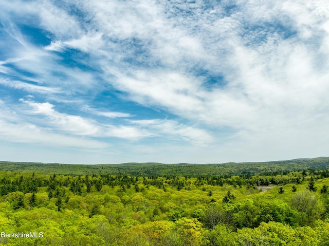 232 Harrington Rd, Otis, MA 01253 - view of wooded area