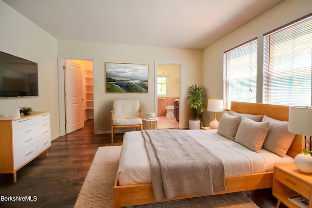 232 Harrington Rd, Otis, MA 01253 - bedroom featuring dark wood finished floors, a spacious closet, and connected bathroom