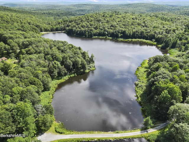 5 Lakeview Rd, Peru, MA 01235 - photo 5