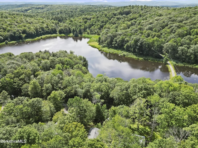 5 Lakeview Rd, Peru, MA 01235 - photo 22