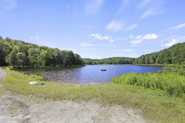 5 Lakeview Rd, Peru, MA 01235 - photo 4