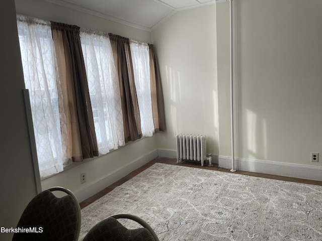 unfurnished room with ornamental molding, lofted ceiling, and radiator