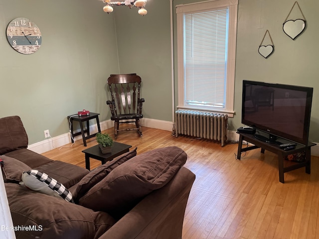 living room featuring a chandelier, radiator, and light hardwood / wood-style flooring