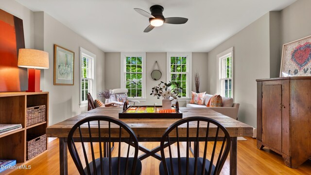 8 Yale Hill Rd, Stockbridge, MA 01262 - photo 11