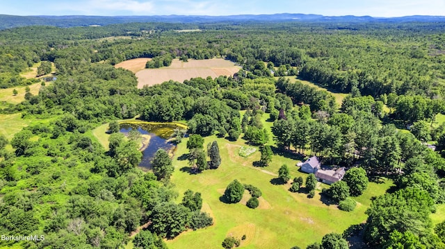25 Sheffield Rd, Egremont, MA 01230 - aerial view of a forest and a large body of water