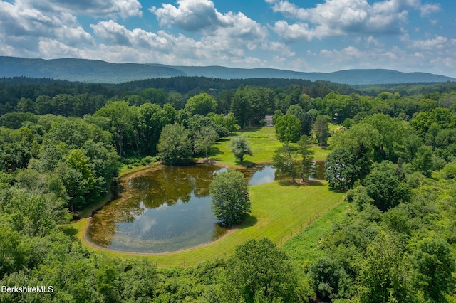 25 Sheffield Rd, Egremont, MA 01230 - bird's eye view of a heavily wooded area and a water and mountain view