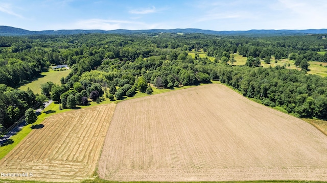 aerial view with a mountain view