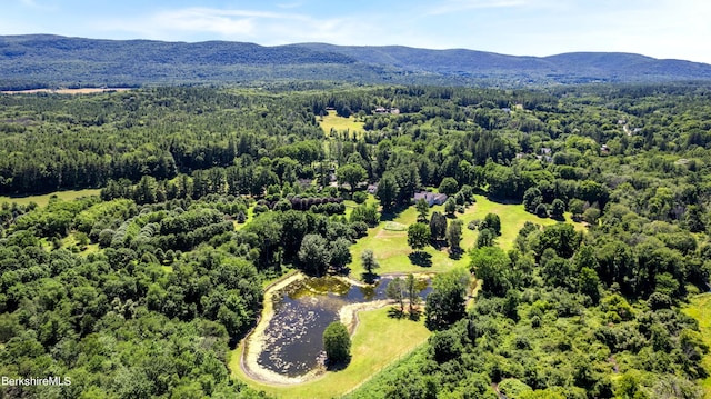 drone / aerial view featuring a mountain view