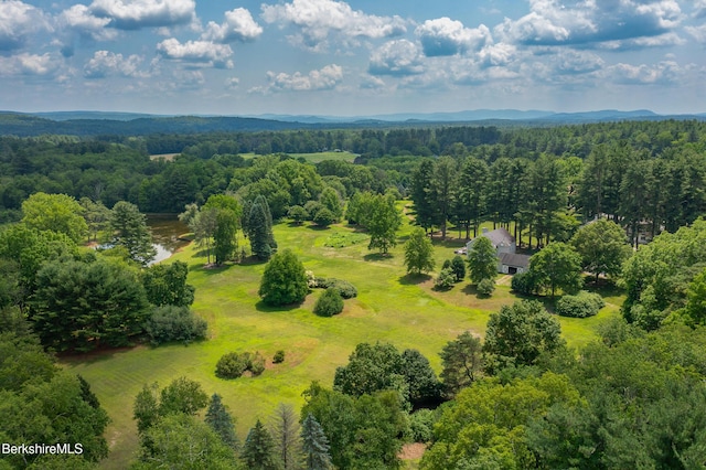 25 Sheffield Rd, Egremont, MA 01230 - aerial view of a heavily wooded area
