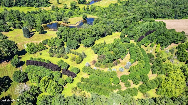 25 Sheffield Rd, Egremont, MA 01230 - aerial view of a nearby body of water