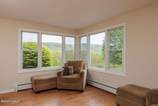 45 State Line Rd, West Stockbridge, MA 01266 - sitting room with a baseboard radiator, healthy amount of natural light, and light wood-style flooring