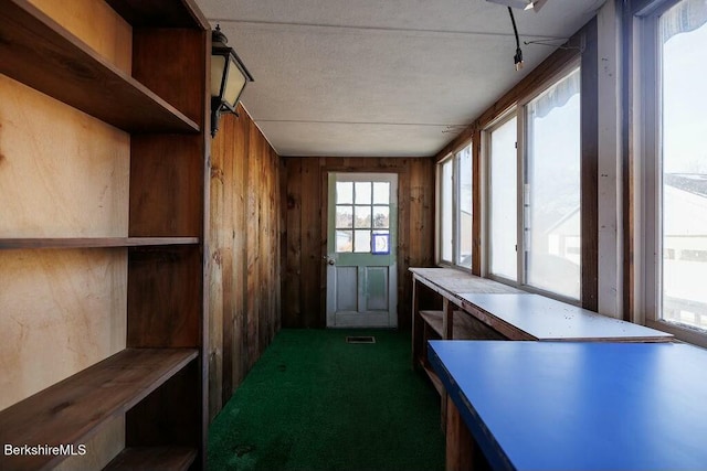 interior space with dark carpet, plenty of natural light, and wood walls