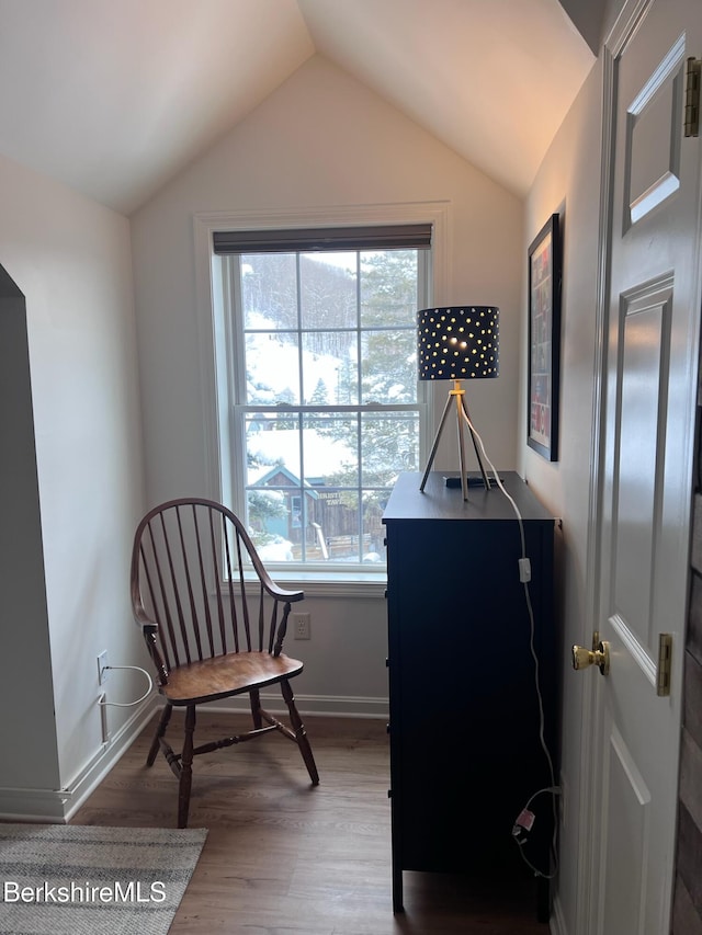 sitting room with hardwood / wood-style floors and lofted ceiling