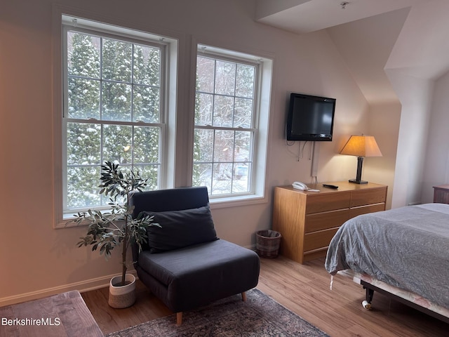 bedroom with multiple windows and light hardwood / wood-style flooring