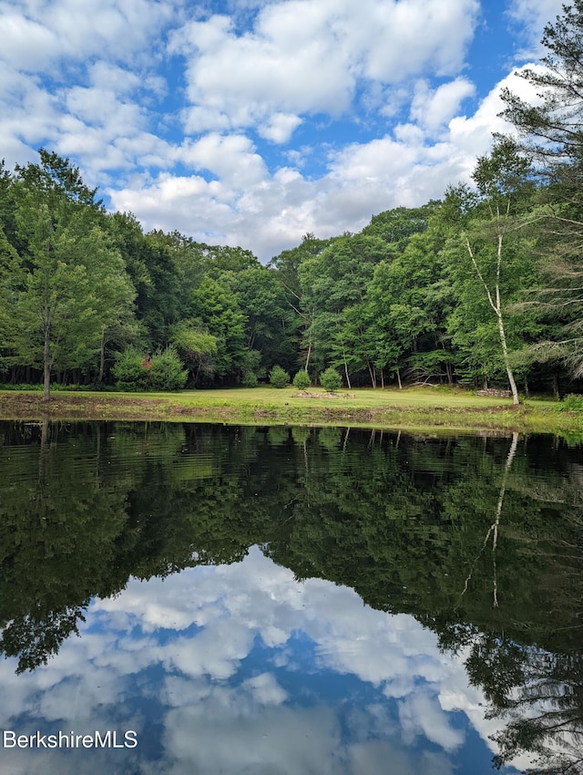 67 Gulf Rd, Lanesborough, MA 01237 - photo 7