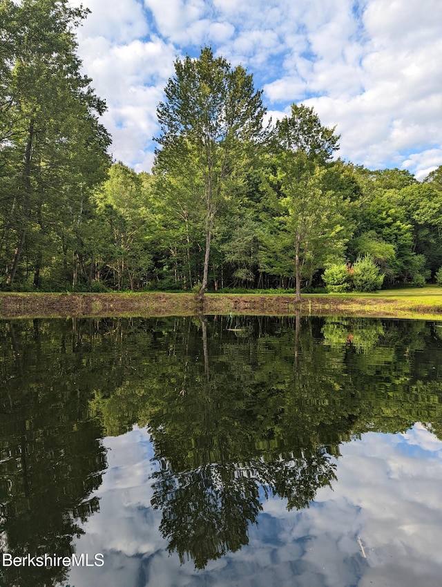 67 Gulf Rd, Lanesborough, MA 01237 - photo 8