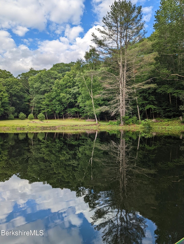 67 Gulf Rd, Lanesborough, MA 01237 - photo 69