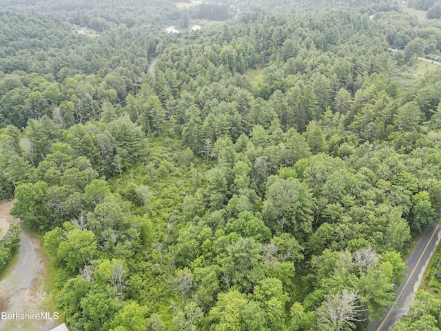132 Washington State Rd, Washington, MA 01223 - photo 41