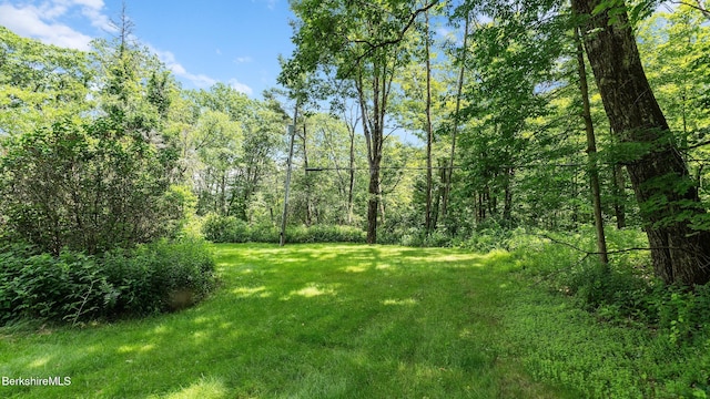 638 Fog Hill Rd, Austerlitz, NY 12017 - photo 39
