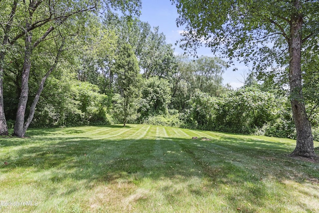 7 Cynthia Ln Unit 7, Pittsfield, MA 01201 - photo 40