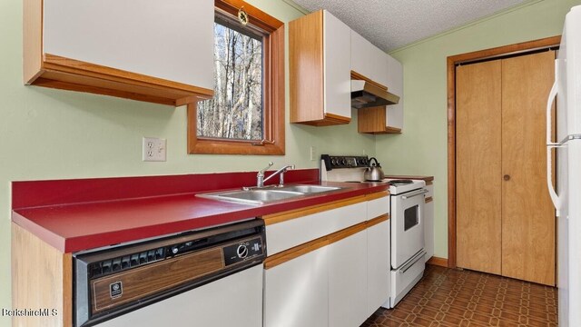 15 Elk Dr, Lee, MA 01238 - kitchen featuring white appliances, under cabinet range hood, a sink, white cabinetry, and a textured ceiling