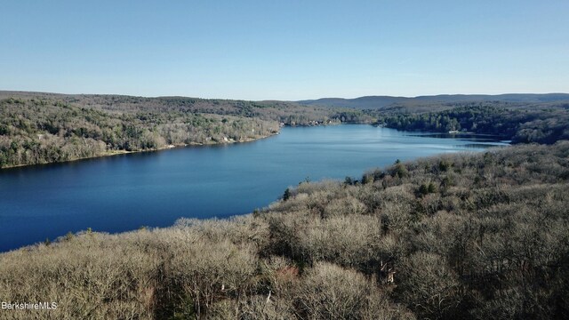 15 Elk Dr, Lee, MA 01238 - water view with a forest and mountains