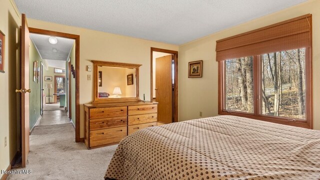 15 Elk Dr, Lee, MA 01238 - bedroom featuring light carpet and a textured ceiling