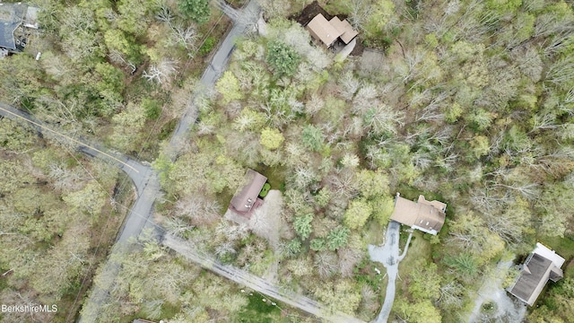 15 Elk Dr, Lee, MA 01238 - aerial view of property and surrounding area