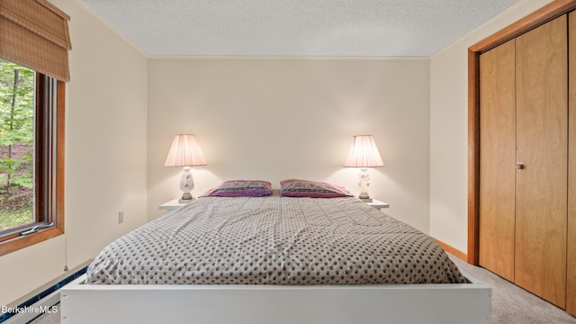15 Elk Dr, Lee, MA 01238 - bedroom featuring light carpet, a closet, a textured ceiling, and crown molding