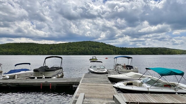 15 Elk Dr, Lee, MA 01238 - dock with a view of trees and a water view