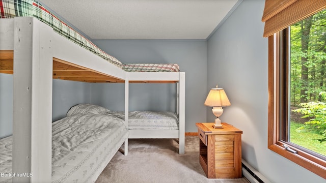 15 Elk Dr, Lee, MA 01238 - carpeted bedroom with multiple windows and a baseboard heating unit