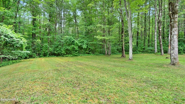 6 Muddy Brook Cir, Great Barrington, MA 01230 - photo 21