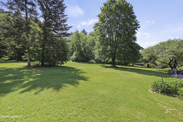 149 Fort Hill Ave, Pittsfield, MA 01201 - photo 43