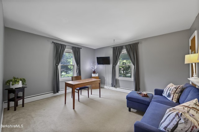 149 Fort Hill Ave, Pittsfield, MA 01201 - photo 19