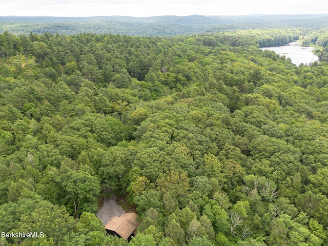 245 Clubhouse Dr, Otis, MA 01253 - photo 14