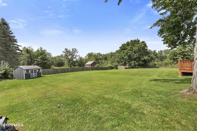 view of yard with a storage unit