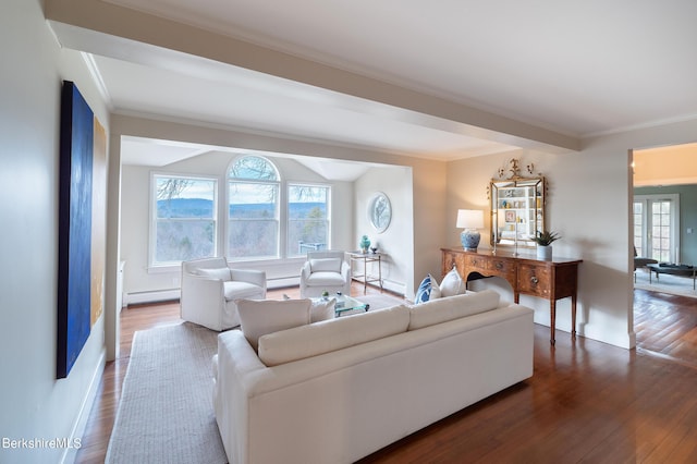 living room with wood-type flooring, a baseboard radiator, and crown molding