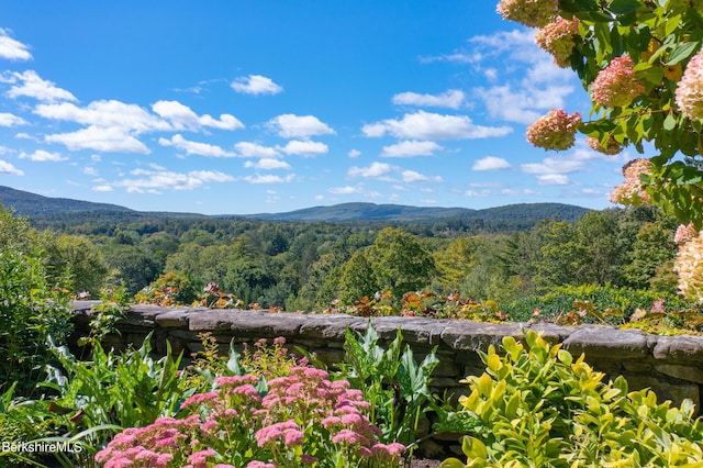 view of mountain feature