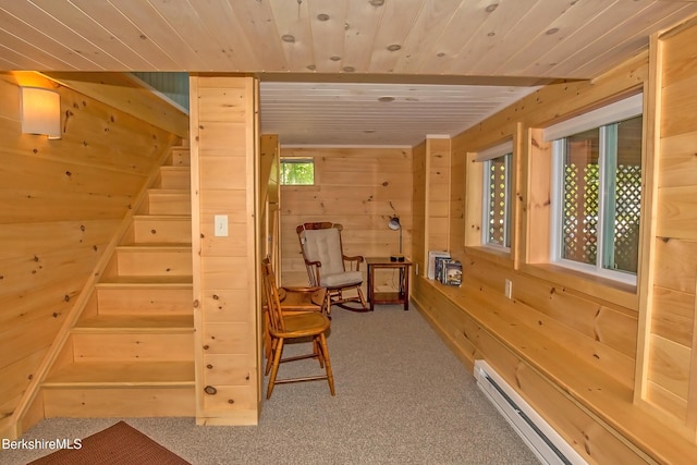 8 Crawford Way, Otis, MA 01253 - photo 37